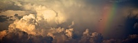 Нажмите на изображение для увеличения
Название: Storm-Clouds-And-Rainbow-iphone-panoramic-wallpaper-tech_touch_ru.jpg
Просмотров: 288
Размер:	715.0 Кб
ID:	18037