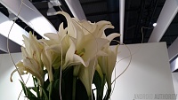 Нажмите на изображение для увеличения
Название: samsung-galaxy-s5-image-samples-11.jpg
Просмотров: 357
Размер:	1.26 Мб
ID:	30175