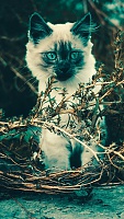 Нажмите на изображение для увеличения
Название: a9.jpg
Просмотров: 143
Размер:	492.9 Кб
ID:	46061