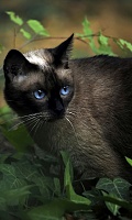 Нажмите на изображение для увеличения
Название: q17.jpg
Просмотров: 239
Размер:	71.1 Кб
ID:	47275