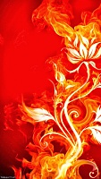 Нажмите на изображение для увеличения
Название: Fire-Flower-vectors-abstract-wallpapers-720x1280.jpg
Просмотров: 737
Размер:	141.9 Кб
ID:	60280