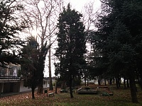 Нажмите на изображение для увеличения
Название: 45-LG-G3-full-resolution-photo.jpg
Просмотров: 310
Размер:	6.43 Мб
ID:	65559
