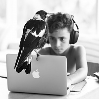 Нажмите на изображение для увеличения
Название: magpie-7.jpg
Просмотров: 88
Размер:	64.9 Кб
ID:	70166