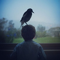 Нажмите на изображение для увеличения
Название: magpie-17.jpg
Просмотров: 104
Размер:	58.3 Кб
ID:	70178