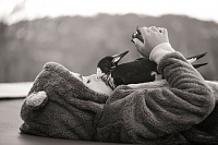 Нажмите на изображение для увеличения
Название: magpie-18.jpg
Просмотров: 97
Размер:	66.8 Кб
ID:	70179